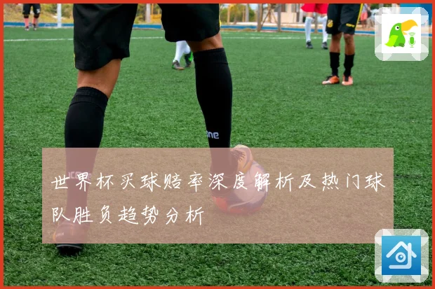 世界杯买球赔率深度解析及热门球队胜负趋势分析