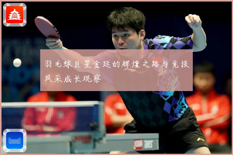 羽毛球巨星金廷的辉煌之路与竞技风采成长观察