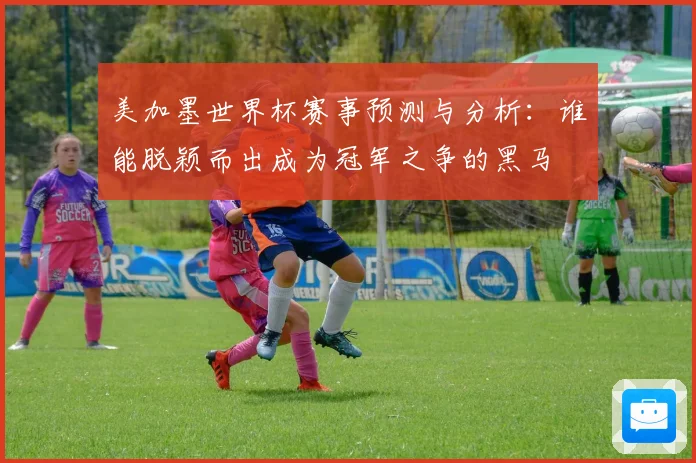 美加墨世界杯赛事预测与分析：谁能脱颖而出成为冠军之争的黑马
