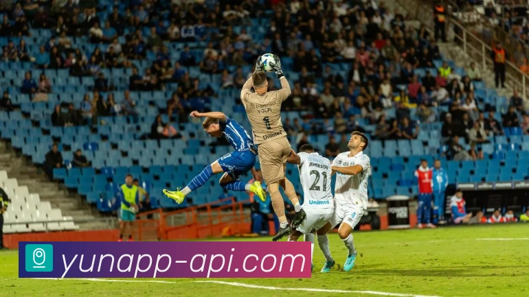 开云平台展示图